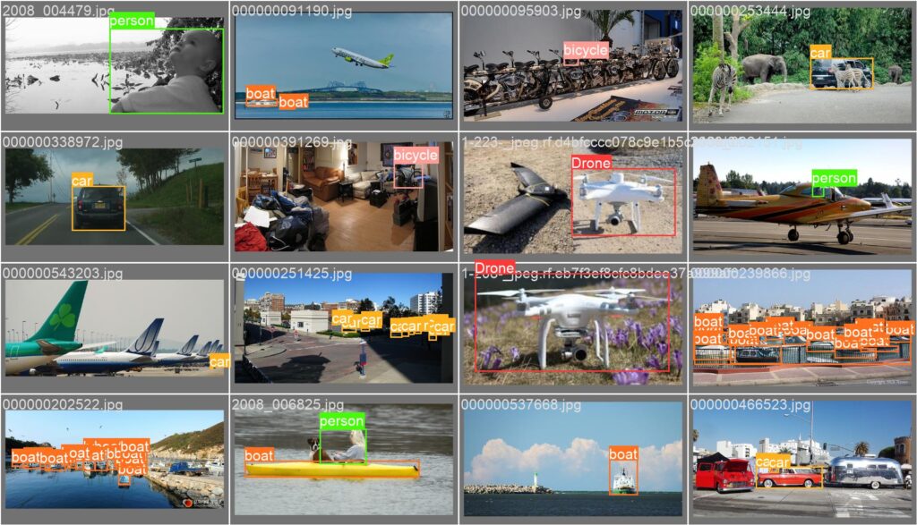 YOLO模型訓練-Boach